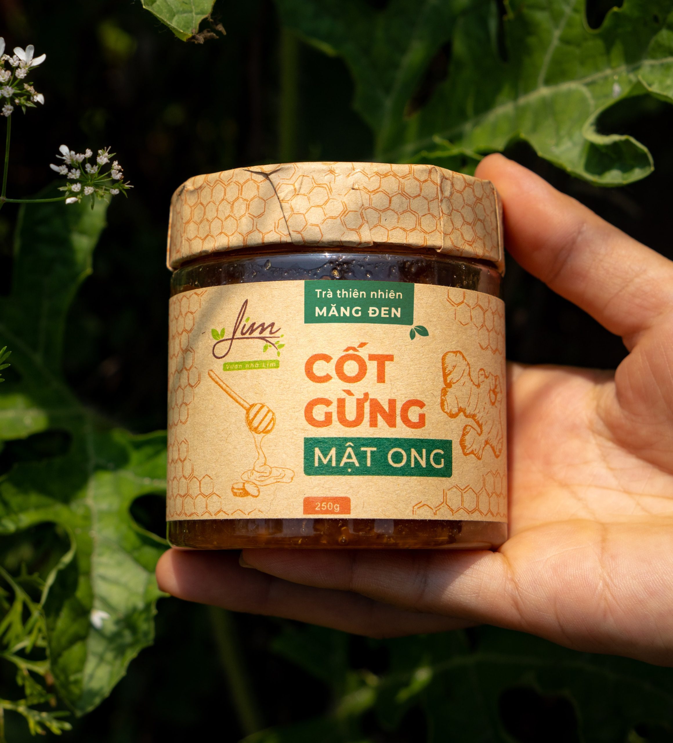 cốt gừng mật ong 1